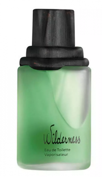 Avon Wilderness EDT 100 ml Erkek Parfümü kullananlar yorumlar